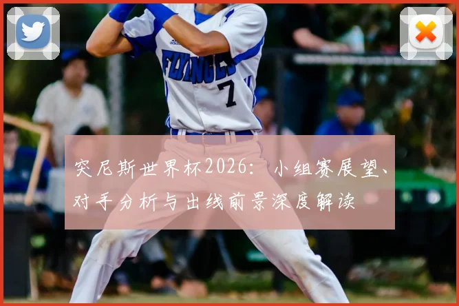 突尼斯世界杯2026：小组赛展望、对手分析与出线前景深度解读
